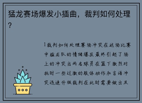 猛龙赛场爆发小插曲，裁判如何处理？